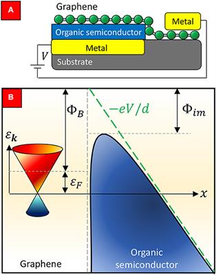 Theory of Thermionic Carrier Injection in Graphene/Organic Schottky Interface